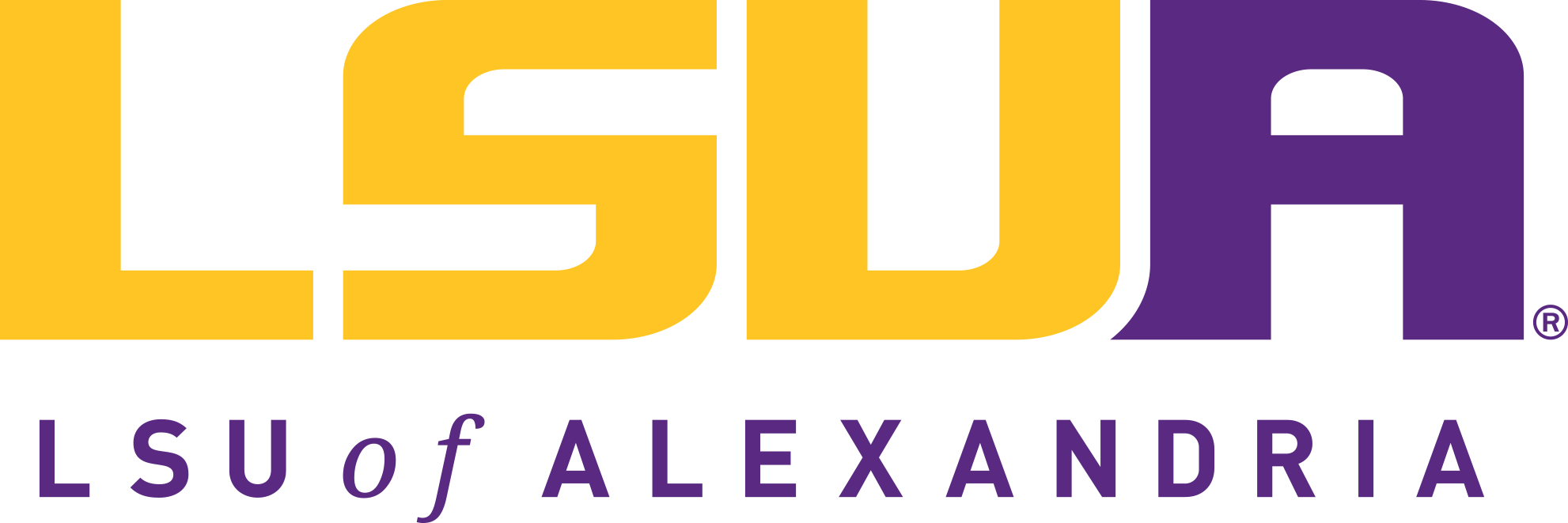 LSU-Alexandria Image