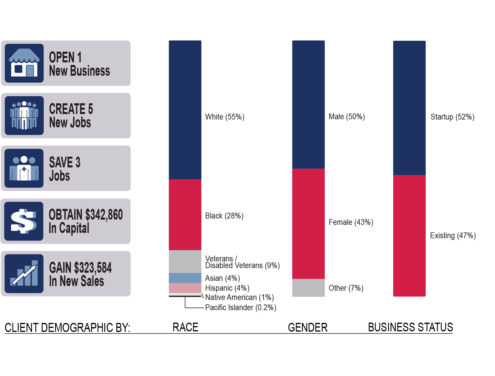 Economic Impact Client Statistics